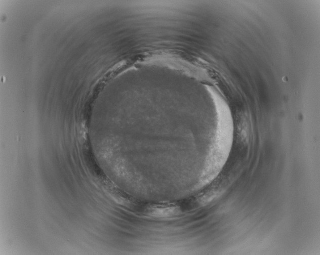 X0000070350555200607072041