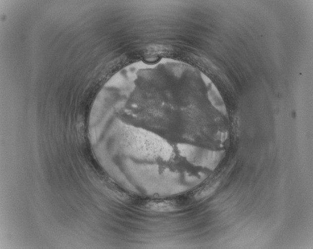 X0000070350557200607072041