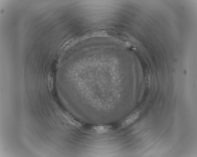 X0000070350558200607072041