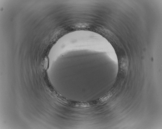 X0000070350559200607072041