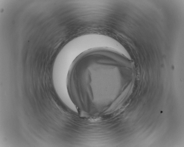 X0000070350560200607072041