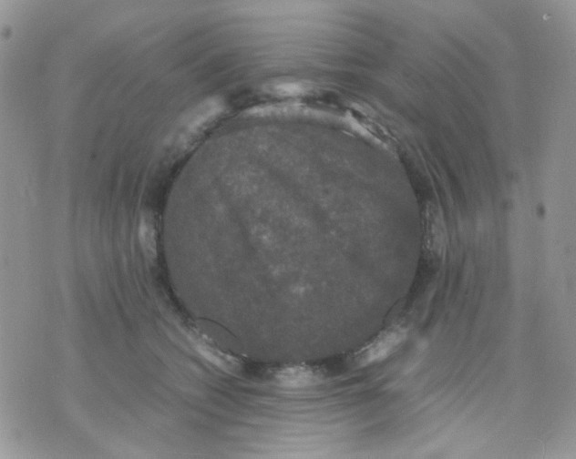 X0000070350562200607072041