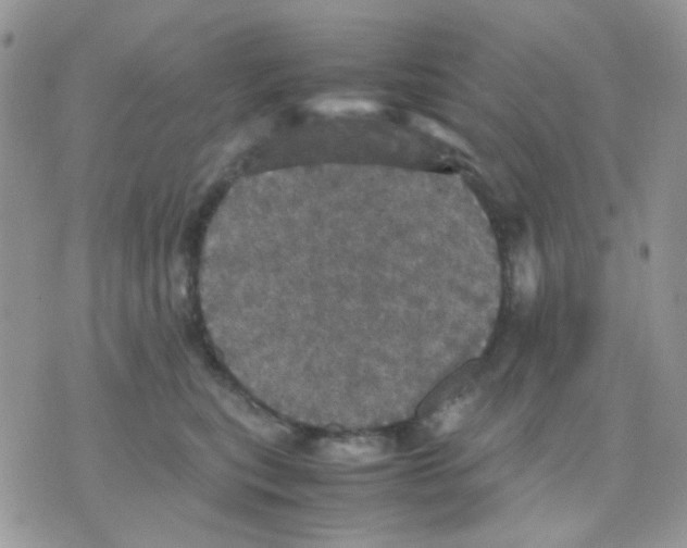 X0000070350567200607072041