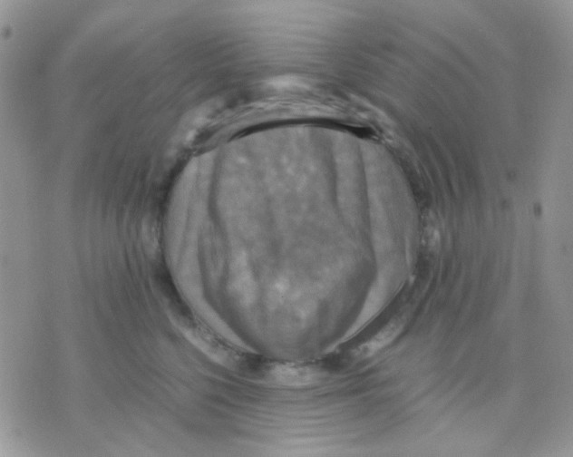 X0000070350568200607072041