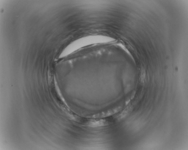 X0000070350569200607072041