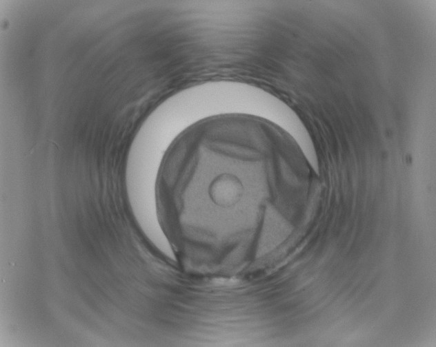 X0000070350570200607072041