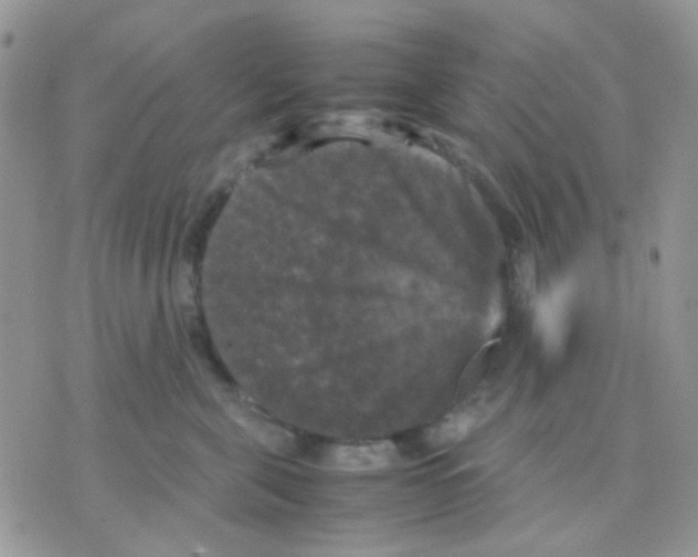 X0000070350571200607072041