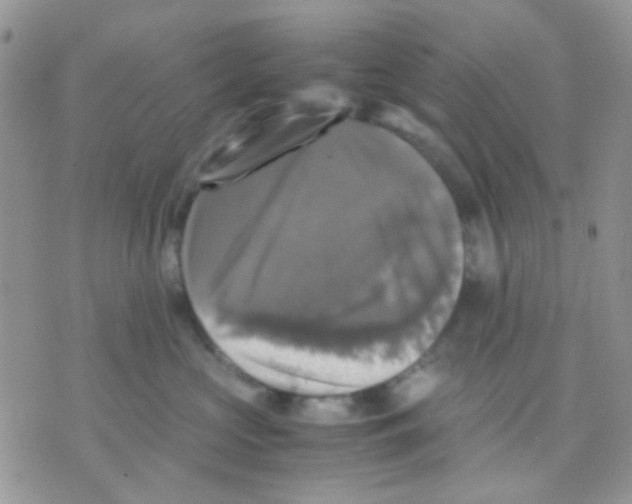 X0000070350573200607072041