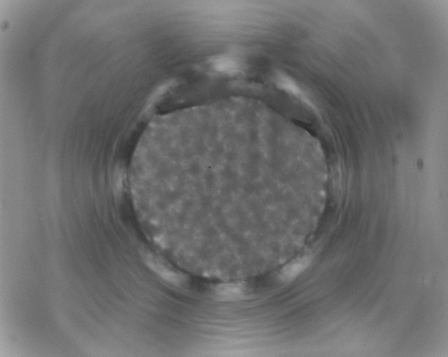 X0000070350574200607072041