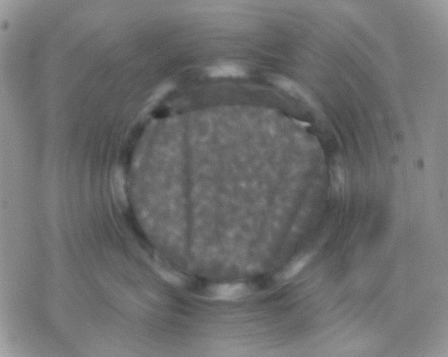 X0000070350575200607072041