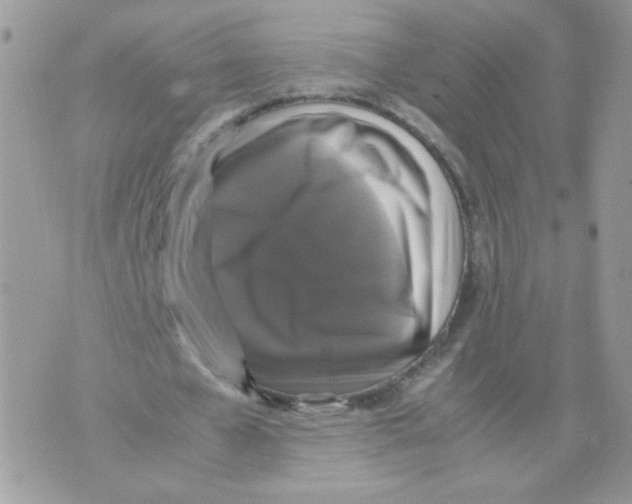 X0000070350577200607072040