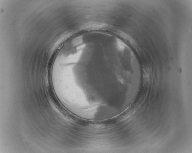 X0000070350582200607072040