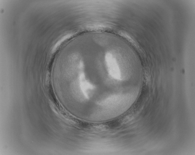 X0000070350583200607072040