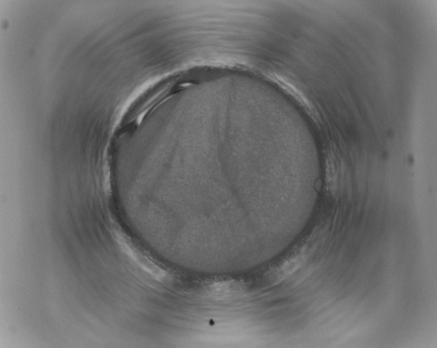 X0000070350584200607072040