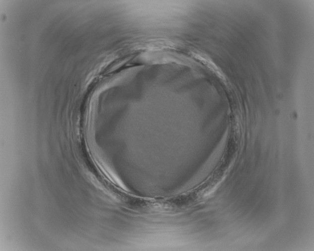 X0000070350585200607072040