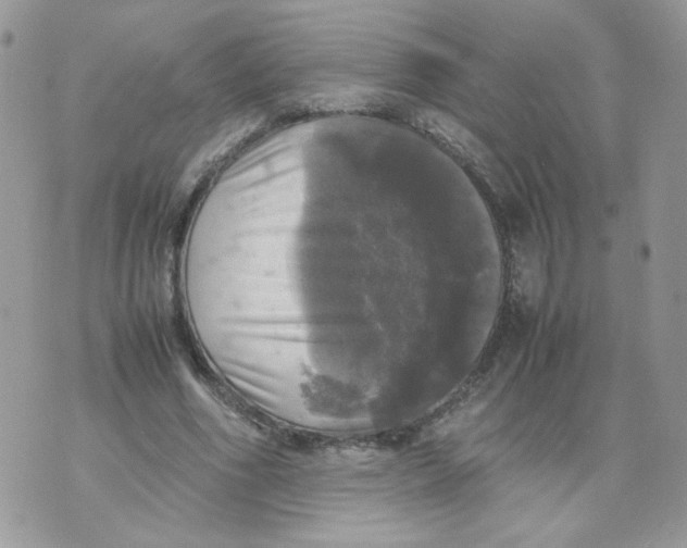 X0000070350586200607072040