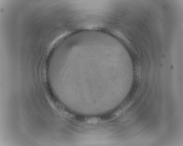 X0000070350587200607072040