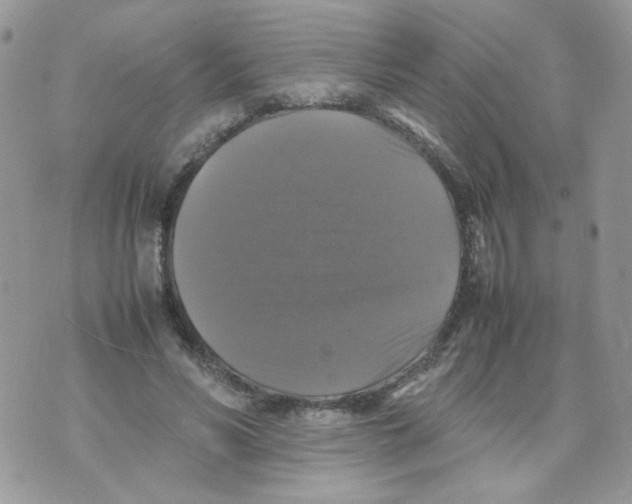 X0000070350590200607072040