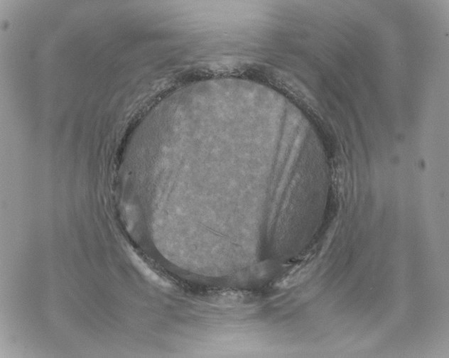 X0000070350593200607072040