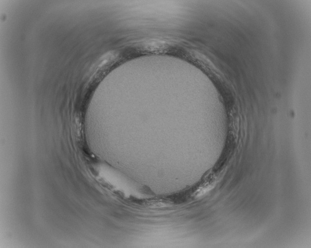 X0000070350597200607072040