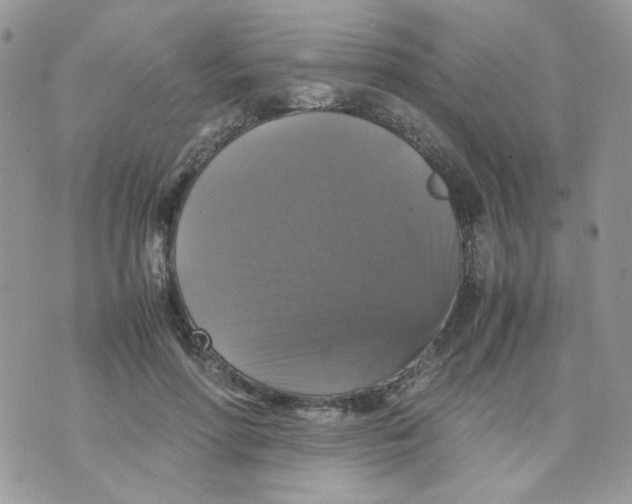 X0000070350598200607072040