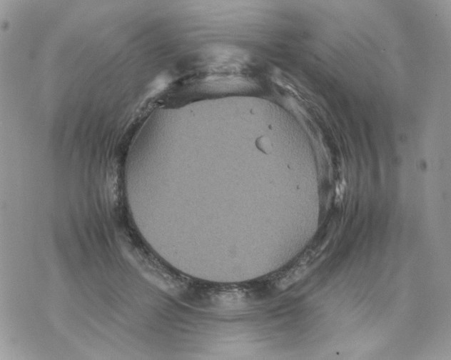 X0000070350600200607072040