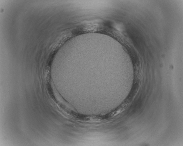 X0000070350601200607072040