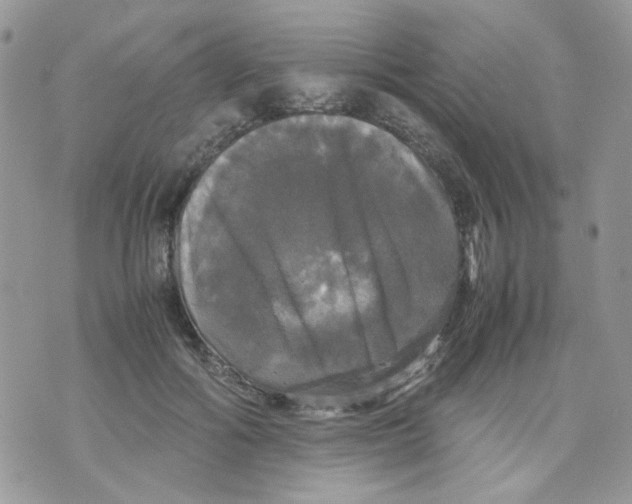 X0000070350602200607072040