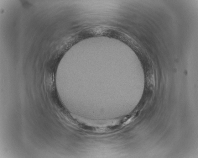 X0000070350605200607072040