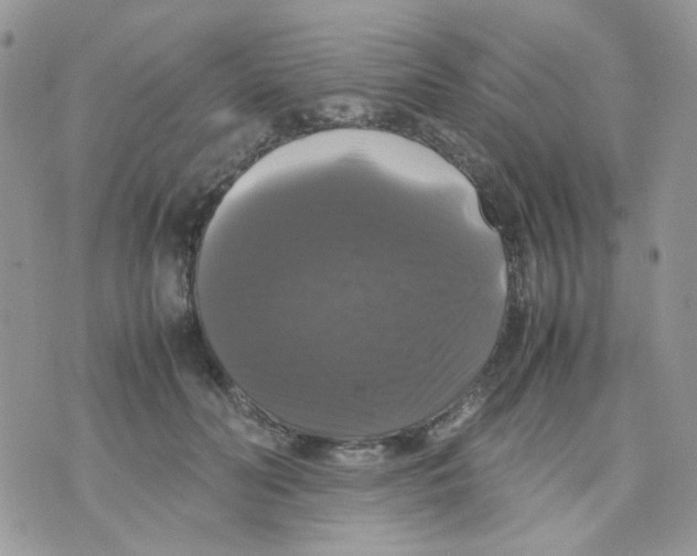 X0000070350606200607072040