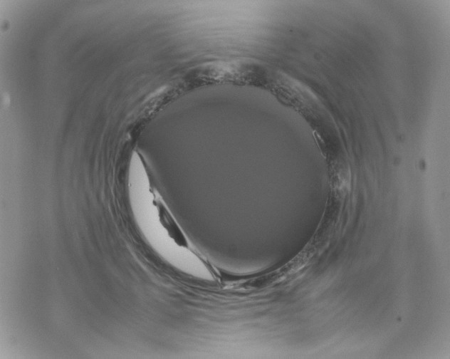 X0000070350607200607072040