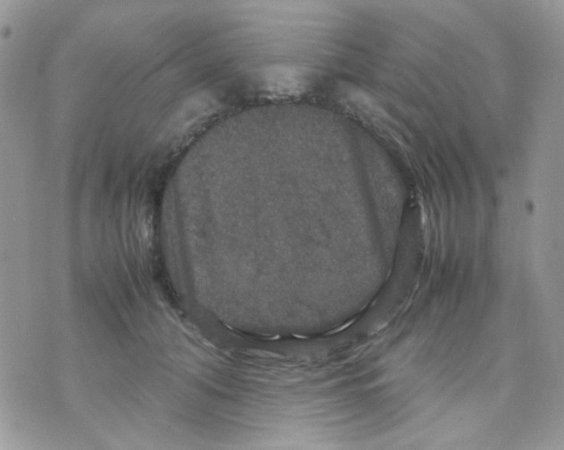 X0000070350608200607072040