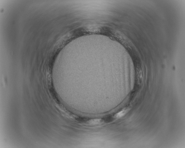 X0000070350609200607072040