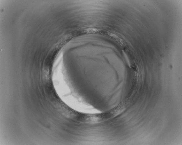 X0000070350610200607072040