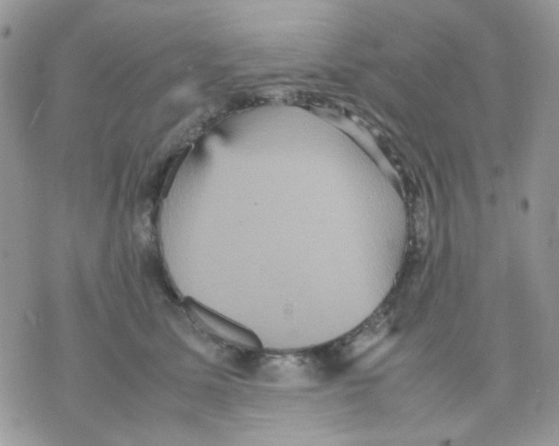 X0000070350611200607072040