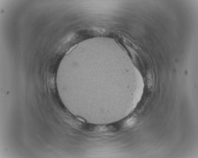 X0000070350613200607072040