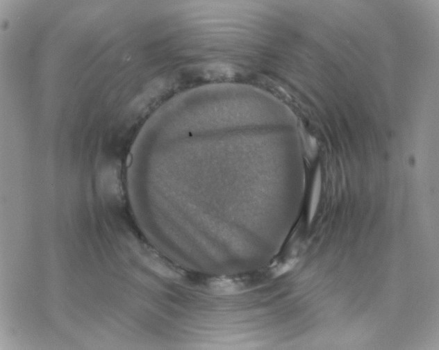 X0000070350616200607072040