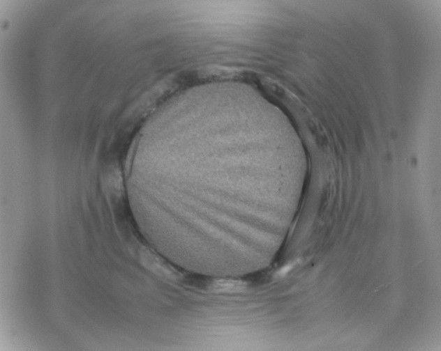 X0000070350617200607072040