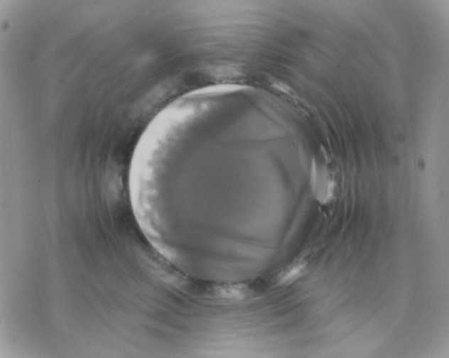 X0000070350618200607072040