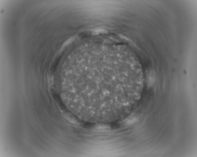 X0000070350619200607072040