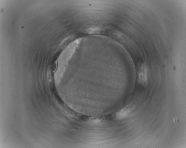 X0000070350620200607072040