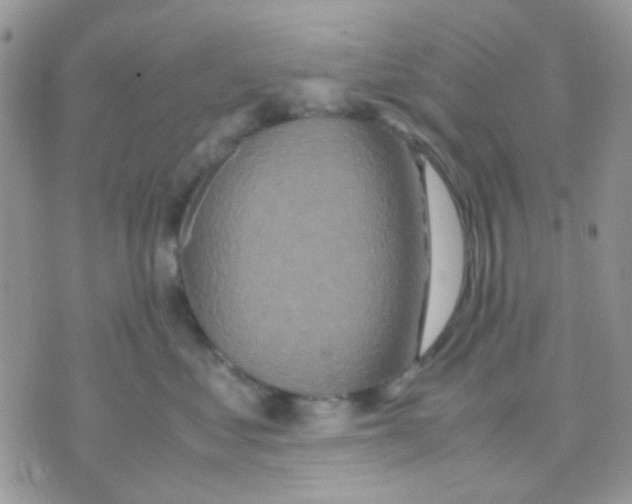 X0000070350621200607072040