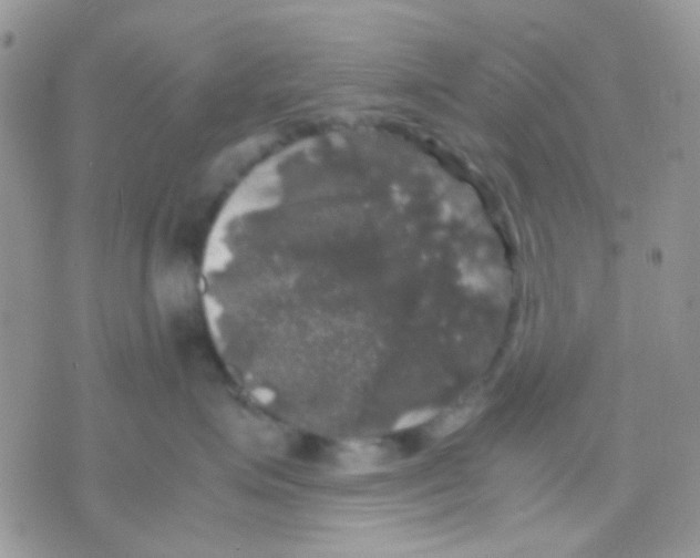 X0000070350623200607072040