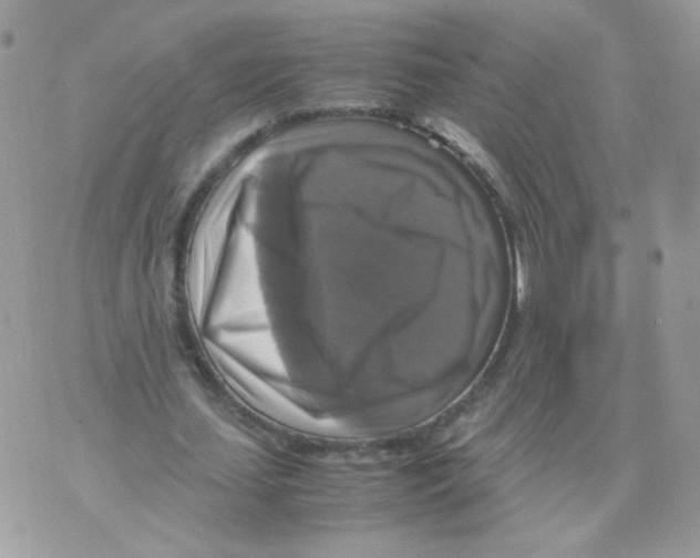 X0000070350627200607072039