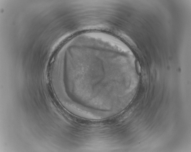 X0000070350628200607072039