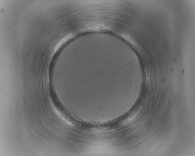 X0000070350630200607072039