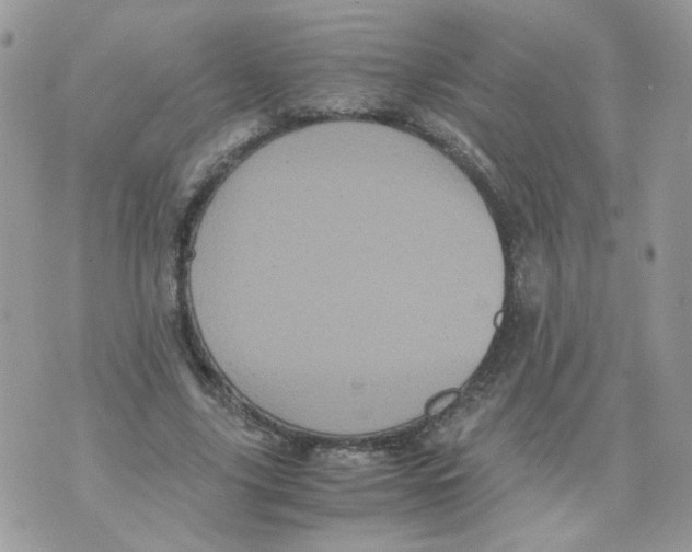 X0000070350635200607072039