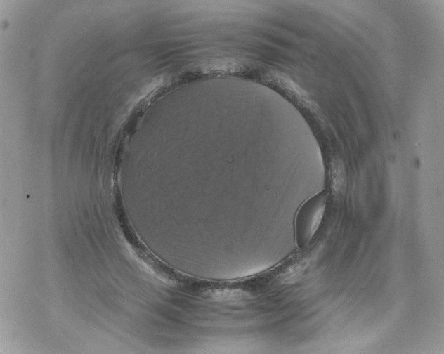 X0000070350637200607072039