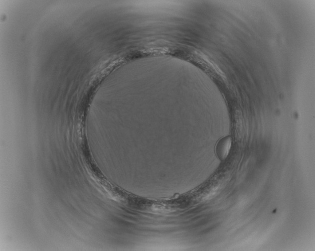 X0000070350641200607072039