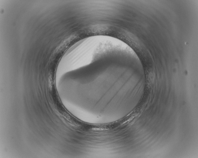 X0000070350644200607072039